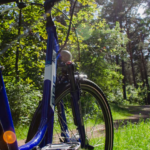 Waldspot bei Fahrradtour Usedom